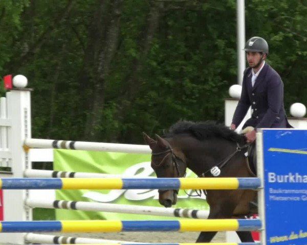 Reitturnier Isny-Rohrdorf 2017