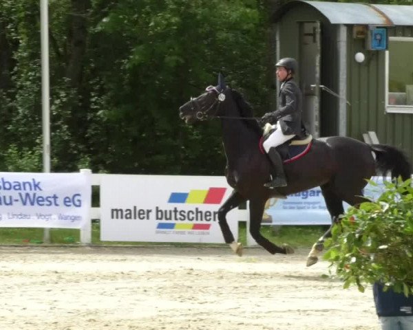 Reitturnier Isny-Rohrdorf 2017