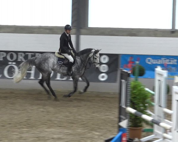 Reitturnier Luhmühlen 2021