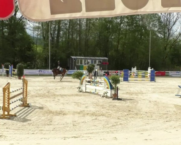Reitturnier Isny-Rohrdorf 2017