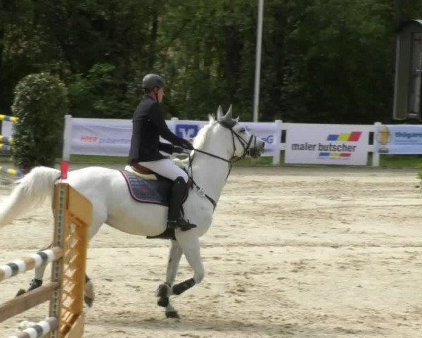 Reitturnier Isny-Rohrdorf 2017