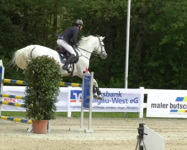 Reitturnier Isny-Rohrdorf 2017