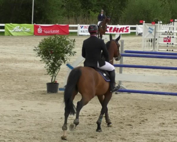 Reitturnier Isny-Rohrdorf 2017