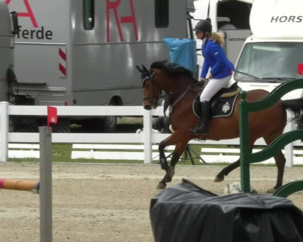 Reitturnier Isny-Rohrdorf 2017