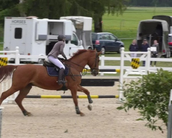 Reitturnier Isny-Rohrdorf 2017
