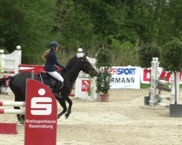 Reitturnier Isny-Rohrdorf 2017