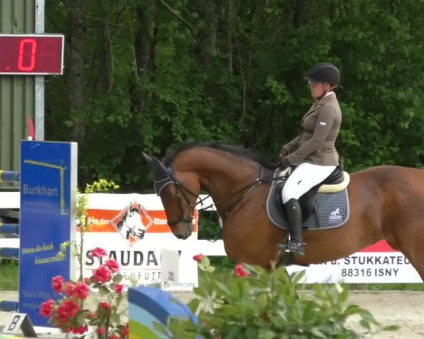 Reitturnier Isny-Rohrdorf 2017
