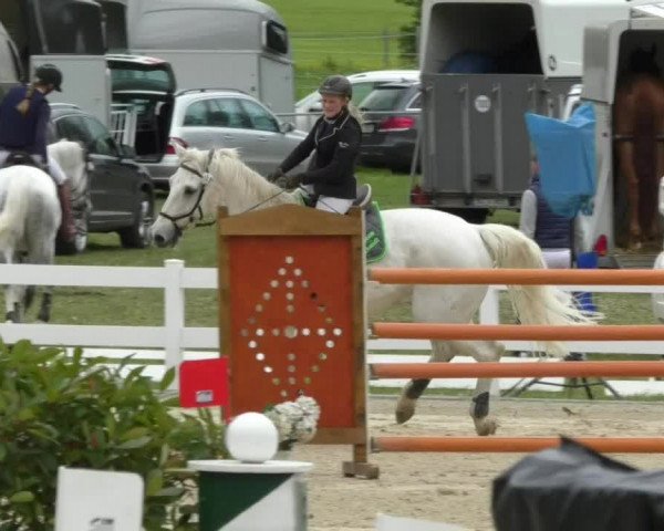 Reitturnier Isny-Rohrdorf 2017