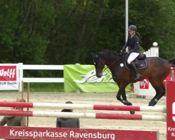 Reitturnier Isny-Rohrdorf 2017