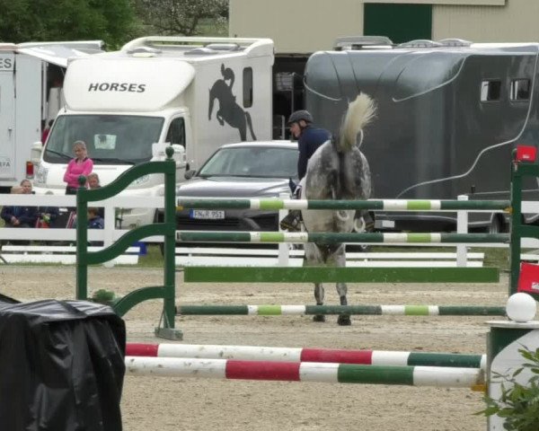 Reitturnier Isny-Rohrdorf 2017