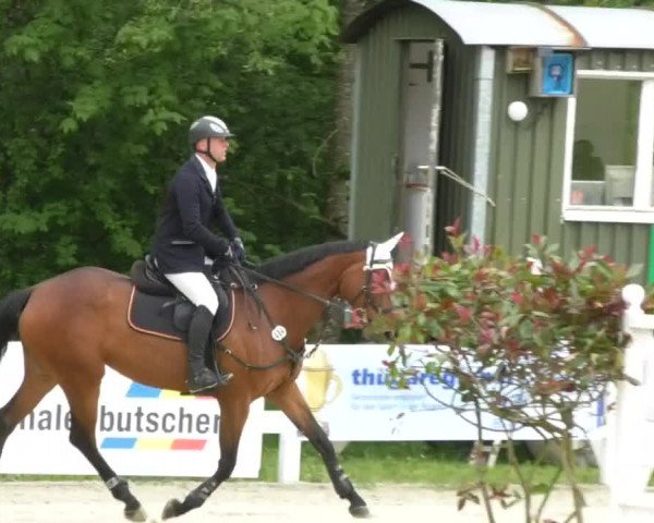 Reitturnier Isny-Rohrdorf 2017