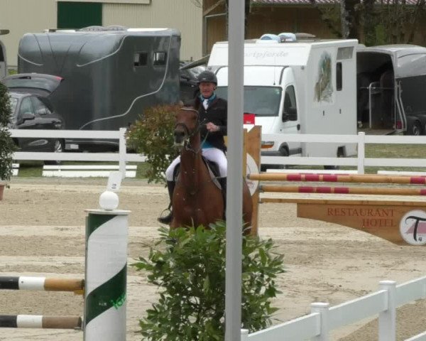 Reitturnier Isny-Rohrdorf 2017