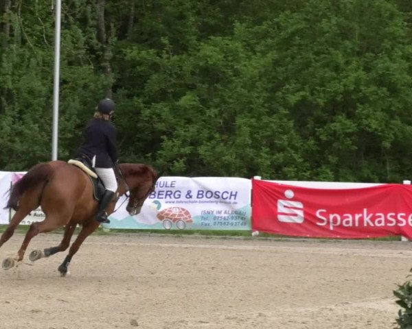 Reitturnier Isny-Rohrdorf 2017