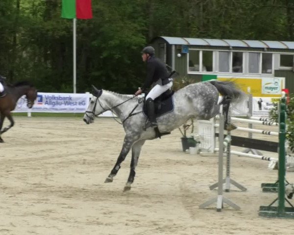 Reitturnier Isny-Rohrdorf 2017