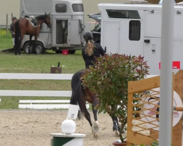 Reitturnier Isny-Rohrdorf 2017