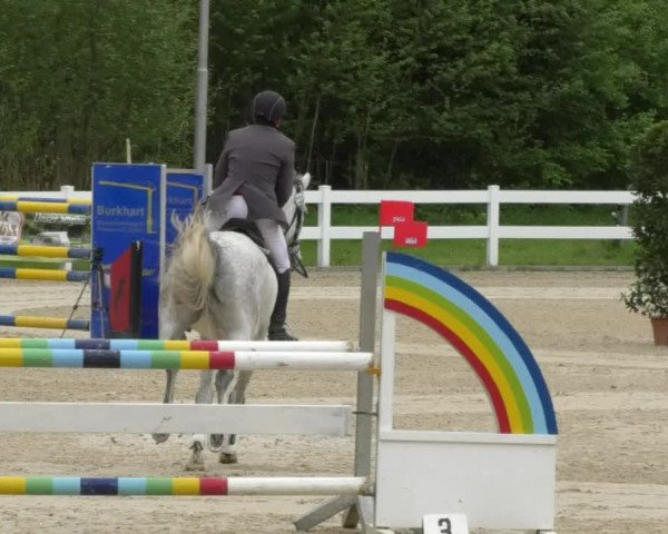 Reitturnier Isny-Rohrdorf 2017