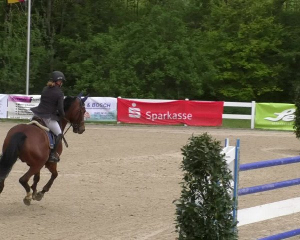 Reitturnier Isny-Rohrdorf 2017