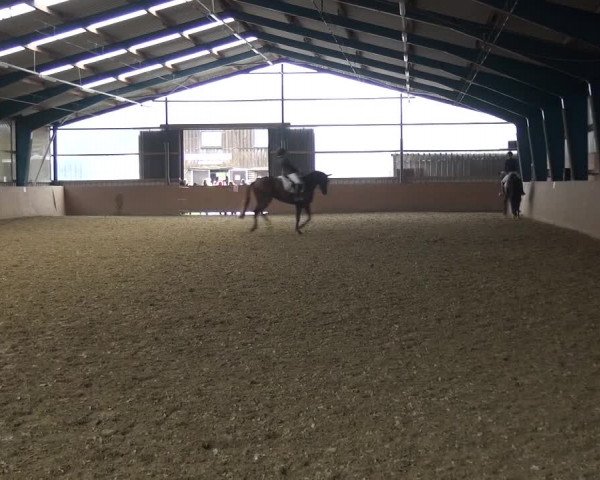 Reitturnier Remscheid, Buscher Hof 2017