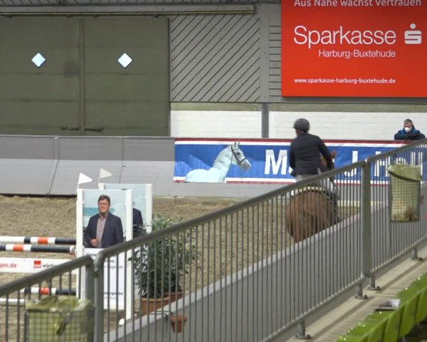 Reitturnier Luhmühlen 2021