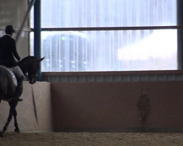 Reitturnier Remscheid, Buscher Hof 2017