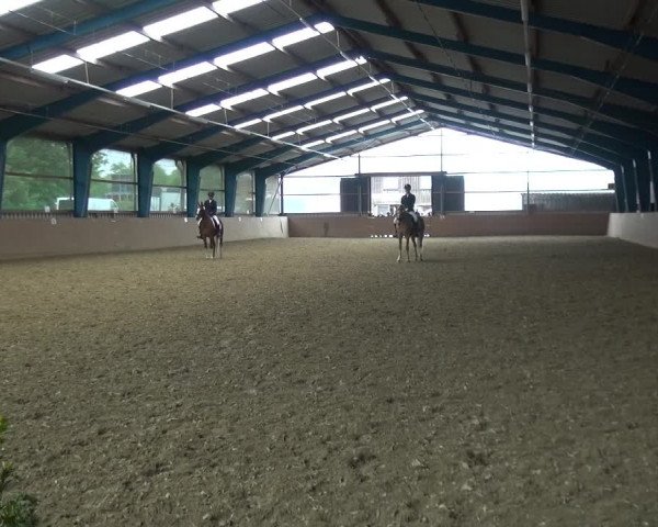Reitturnier Remscheid, Buscher Hof 2017