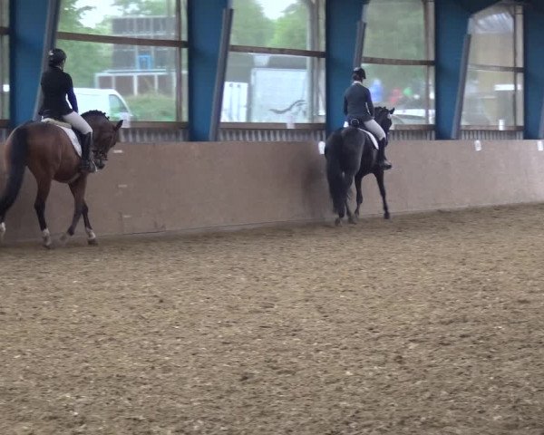 Reitturnier Remscheid, Buscher Hof 2017
