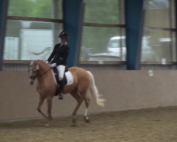 Reitturnier Remscheid, Buscher Hof 2017