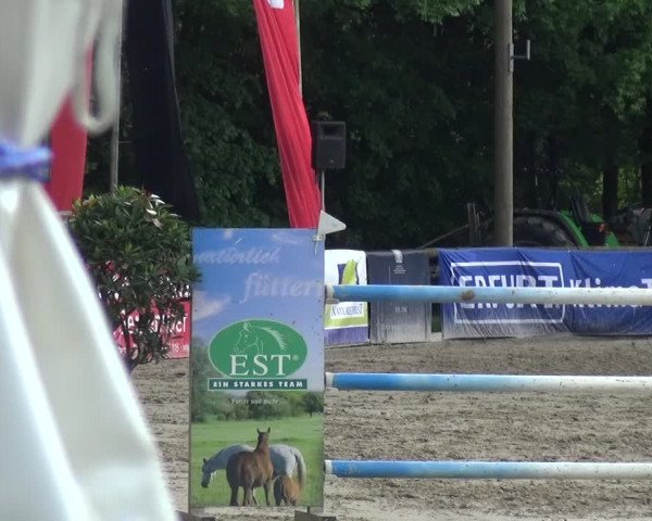 Reitturnier Remscheid, Buscher Hof 2017
