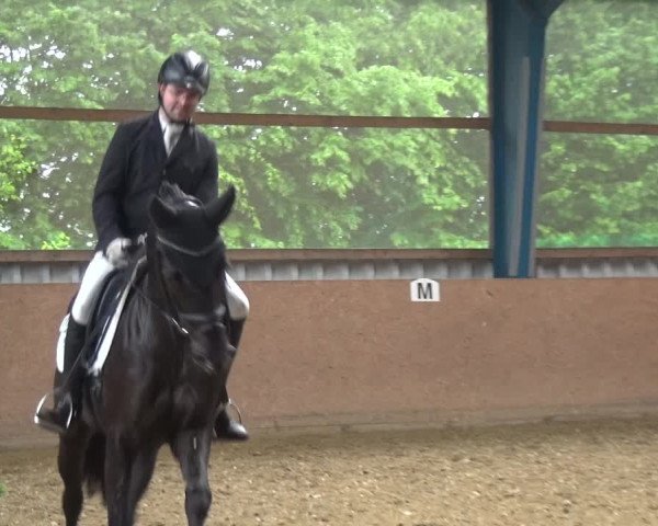 Reitturnier Remscheid, Buscher Hof 2017
