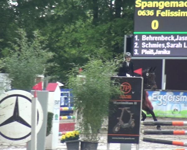 Reitturnier Remscheid, Buscher Hof 2017