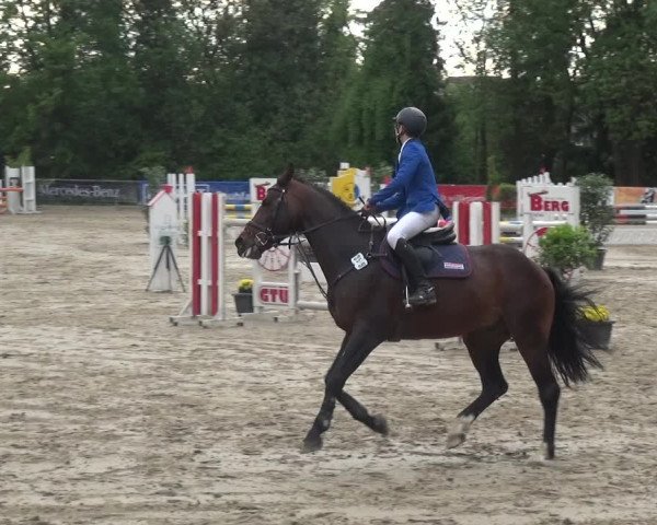 Reitturnier Remscheid, Buscher Hof 2017