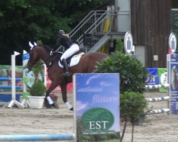 Reitturnier Remscheid, Buscher Hof 2017