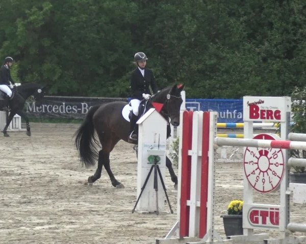 Reitturnier Remscheid, Buscher Hof 2017