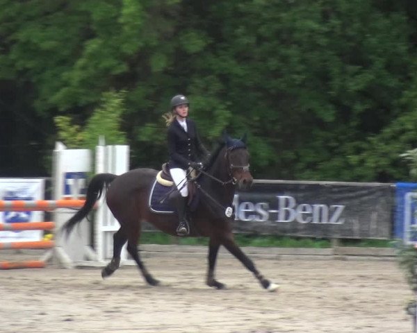 Reitturnier Remscheid, Buscher Hof 2017