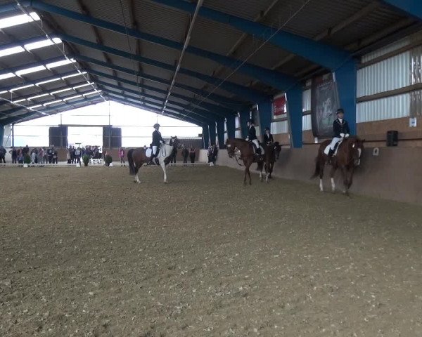Reitturnier Remscheid, Buscher Hof 2017