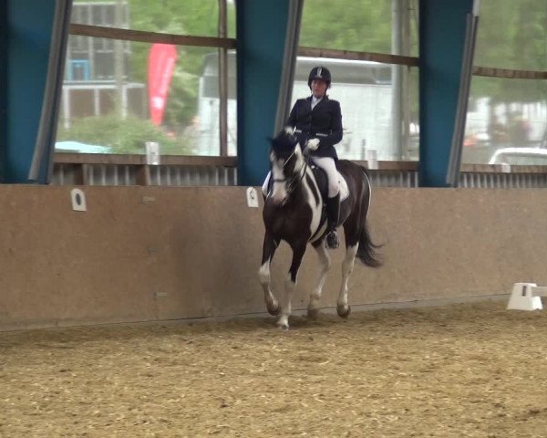Reitturnier Remscheid, Buscher Hof 2017