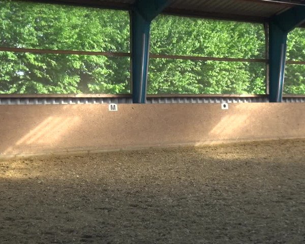 Reitturnier Remscheid, Buscher Hof 2017