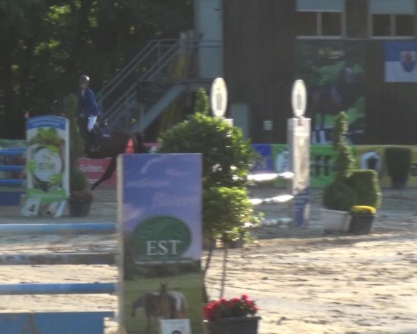 Reitturnier Remscheid, Buscher Hof 2017