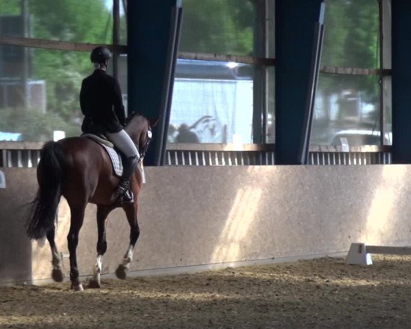 Reitturnier Remscheid, Buscher Hof 2017
