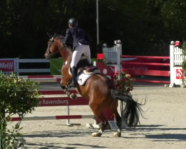 Reitturnier Isny-Rohrdorf 2017