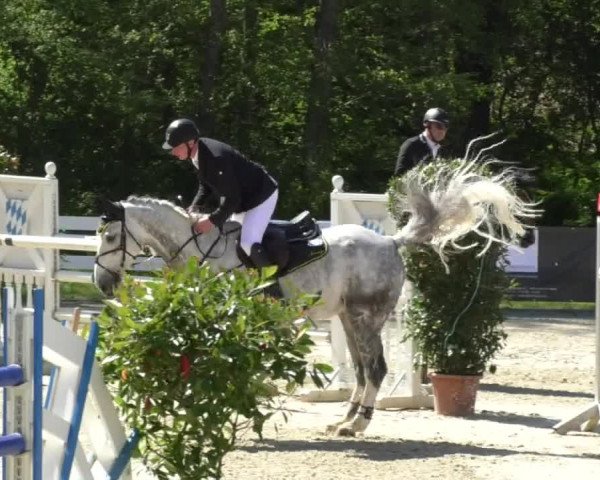Reitturnier Isny-Rohrdorf 2017