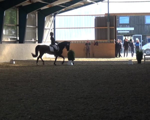Reitturnier Remscheid, Buscher Hof 2017