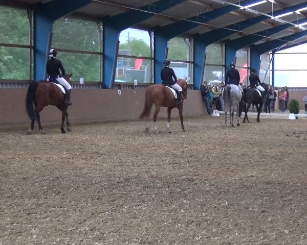 Reitturnier Remscheid, Buscher Hof 2017