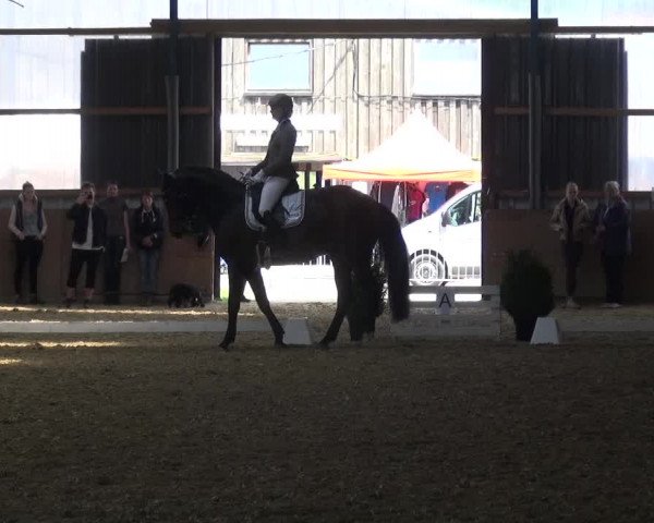 Reitturnier Remscheid, Buscher Hof 2017