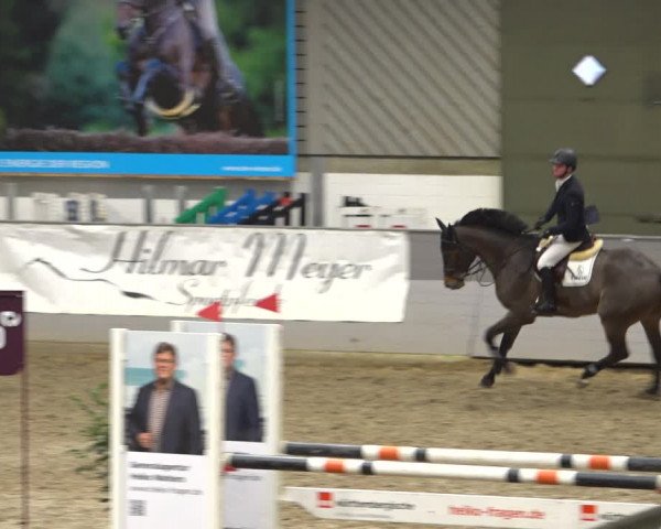 Reitturnier Luhmühlen 2021