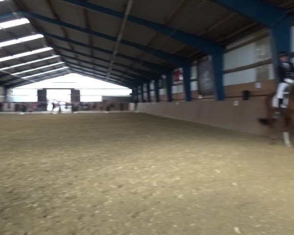 Reitturnier Remscheid, Buscher Hof 2017