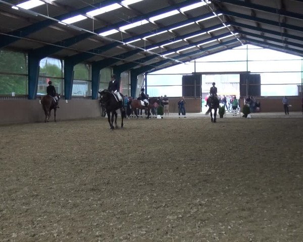 Reitturnier Remscheid, Buscher Hof 2017