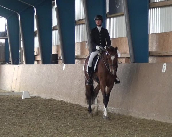 Reitturnier Remscheid, Buscher Hof 2017