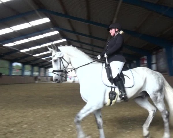 Reitturnier Remscheid, Buscher Hof 2017