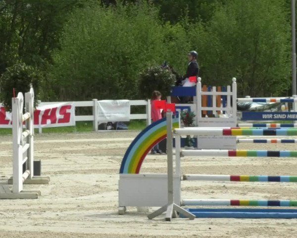 Reitturnier Isny-Rohrdorf 2017